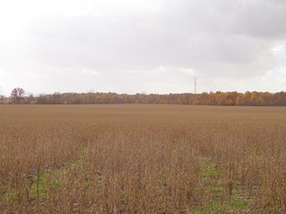 Property photo 15 - 97 +/- Acres Tillable Land Auction